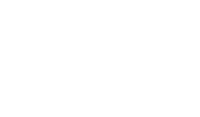 Dunlop