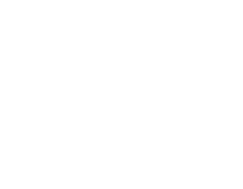 Sane